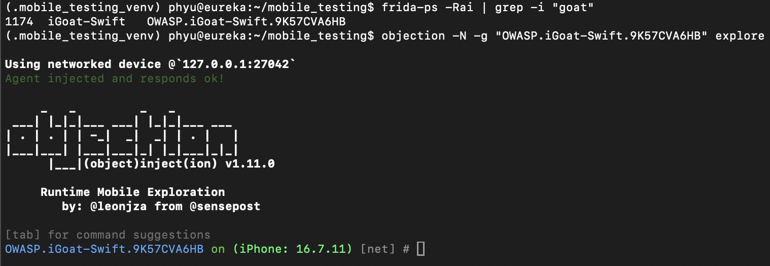 Frida gadget running with the explore option