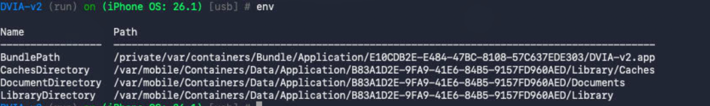 App environment information